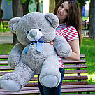 Плюшеві ведмеді: Плюшеве ведмежа Томмі 1 метр (100 см), Сірий, фото 4