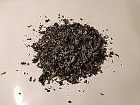 М'ята перцева, карпатська