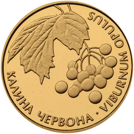 Золота монета НБУ "Калина червона", фото 2