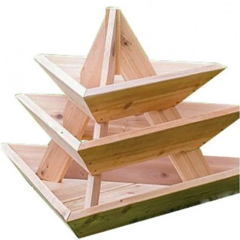 Квіткарка Арка