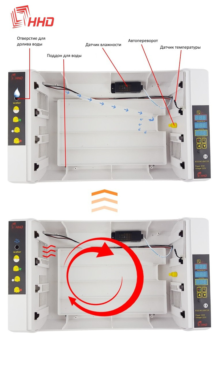 Инкубатор автоматический HHD 24 - фото 9 - id-p1112915504