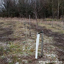 Сітка для захисту дерев від зайців Agrosimex / Агросімекс Standart (Польща), фото 2