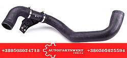 Патрубок інтеркулера (верхній/довгий) MB Sprinter 2.2CDI 95-06 (у зборі).  FEBI