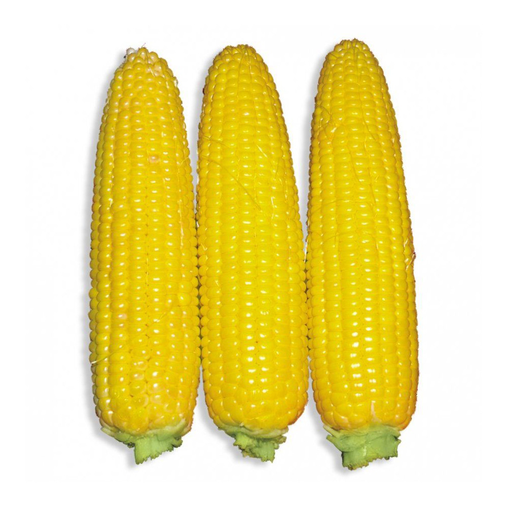 Насіння кукурудзи Добриня F1 (Dobrynja F1) Lark Seeds 2500
