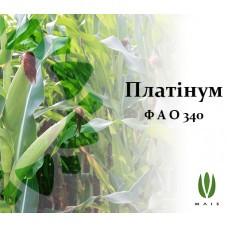 Насіння Кукурудзи ПЛАТИНУМ ф1 ФАО 340 (18,3) (Маїс Черкаси) 19г.у