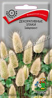 Насіння Декоративні злаки Зайцехвіст, 0.1 г.