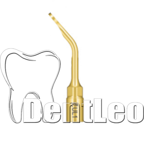 СИНУС - ЛІФТИНГ WOODPECKER UL1, фото 1