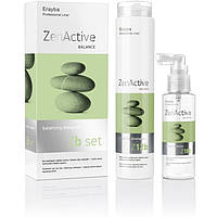 Набор против жирных волос шампунь 250 мл + лосьон 100 мл Erayba Zen Active Zb set