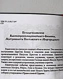 Святе Євангеліє (цивільний, збільшений російський шрифт), фото 4