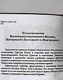 Святе Євангеліє (цивільний, збільшений російський шрифт), фото 5