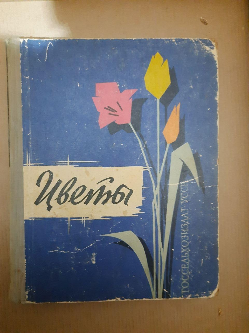 Квіти Д. Ф. Юхимчук 1964 р