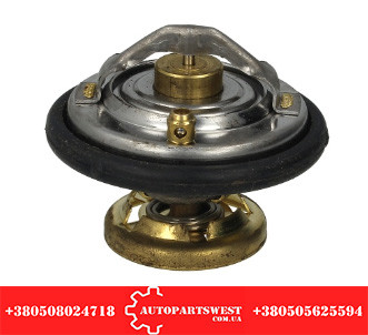 Термостат MB 208-410 WAHLER 4176.80D, фото 1