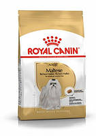 Royal Canin Maltese Adult (Роял Канин Мальтиз Эдалт) сухой корм для собак мальтийская болонка от 10 месяцев