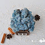 Корпоративні подарунки. Подарунок на свята. Будиночок зі стабілізованим мохом, блакитний, фото 5