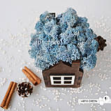 Корпоративні подарунки. Подарунок на свята. Будиночок зі стабілізованим мохом, блакитний, фото 4