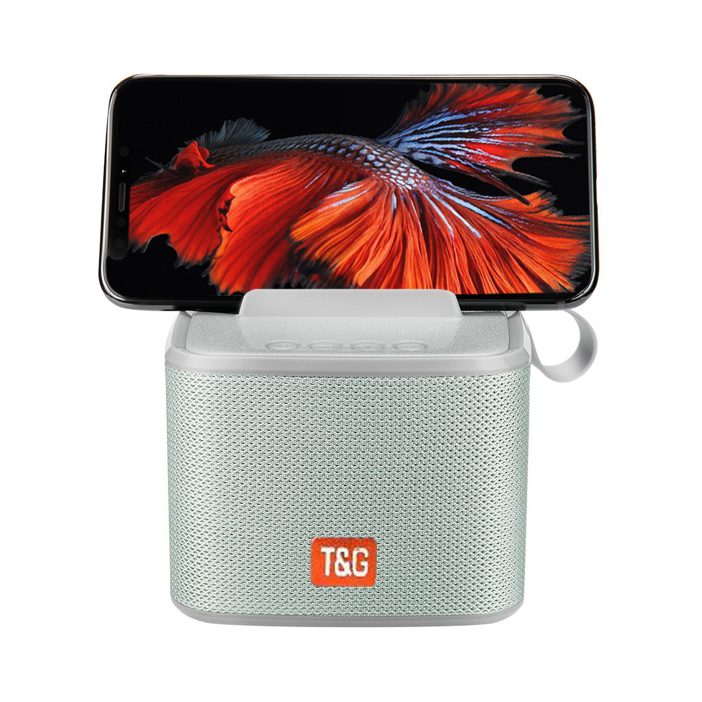 Портативна бездротова Bluetooth колонка T&G TG801 | AUX, Micro-SD card, USB, FM-radio | Сірий, фото 1