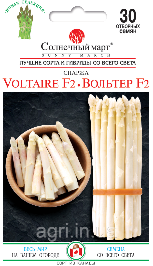 Спаржа  Вольтер F2, 30шт.