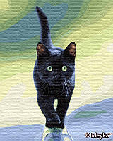 Розмальовки за номерами Ідейка Котяча грація Сергій Полушко (KHO4206) 40 х 50 см