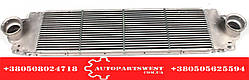 Радіатор інтеркулера VW T5 1.9 / 2.0 / 2.5TDI NRF 30354