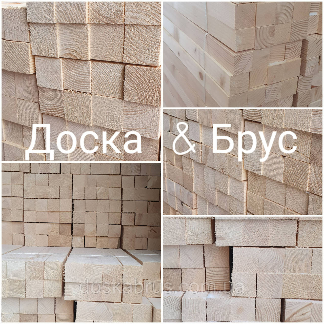 Брус Строганий 50 х 50