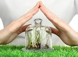 системно - контактні