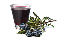 Concentrated blueberry juice 65-67 Briх acidity 5,3-5,5%