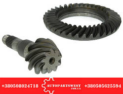 ГЛАВНАЯ ПАРА.    SPR.901-903.   37х9.     EURORICAMBI