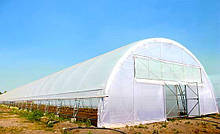 Наші проекти