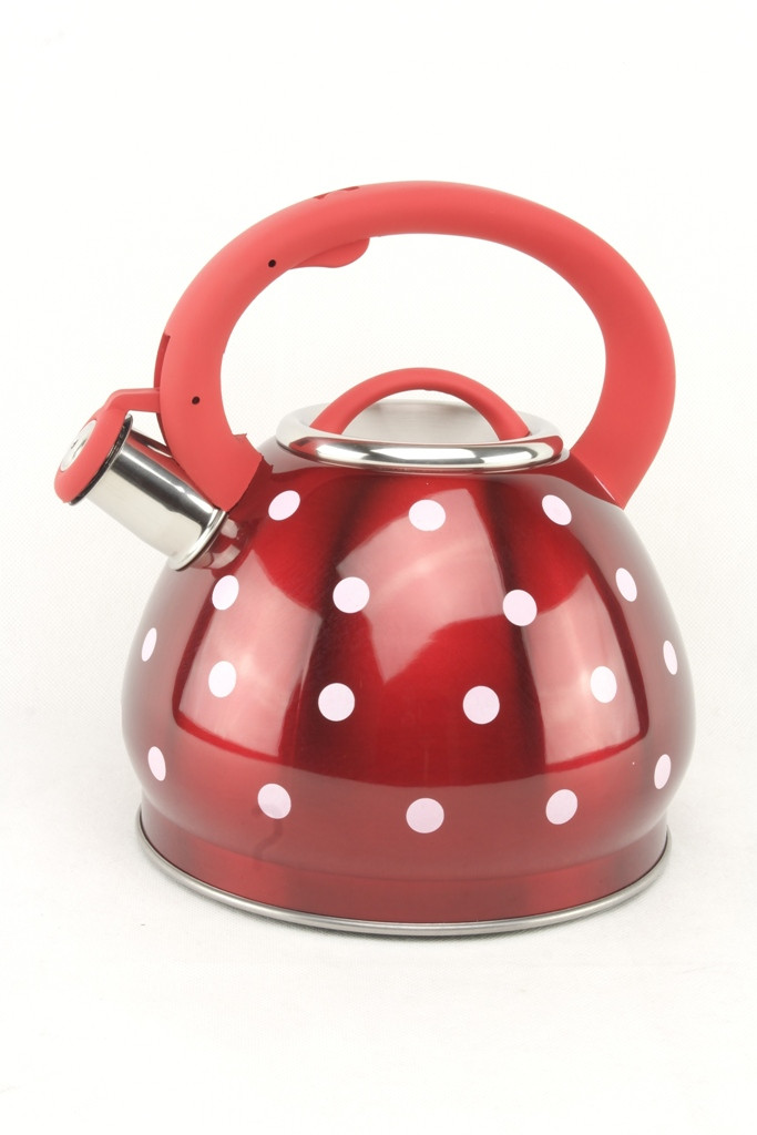 Чайник із капсульним дном 3 л