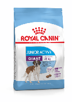 Royal Canin Giant Junior Active (Роял Канин Джаинт Джуниор Эктив) корм для щенков гигантских пород от 8 мес