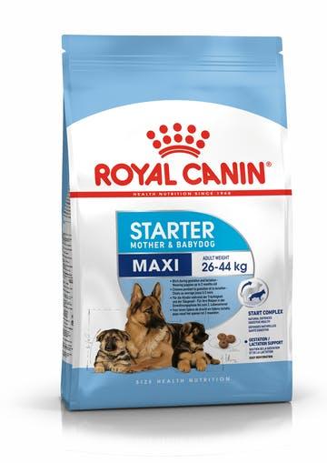 Royal Canin Maxi Starter (Роял Канін Максі Стартер Мазер Бебідог) корм для великих вагітних собак і собак, що годують