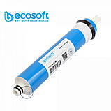 Картриджі ECOSOFT для зворотного осмосу - комплект 1-2-3 PP5 GAC PP1 і Мембрана, фото 4