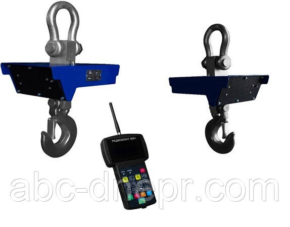 Кранові ваги 15 тонн із радіоканалом, фото 1