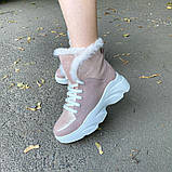 Жіночі зимові черевики спортивного стилю на високій підошві (пудра), фото 5