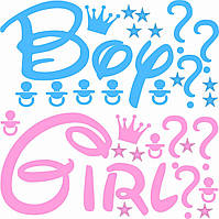 Набір наклейок Boy Or Girl рожевий + блакитний