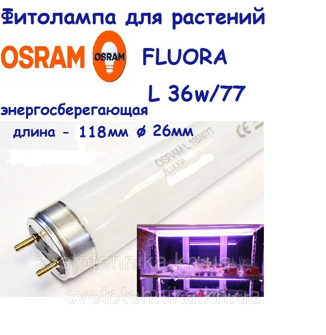 Фитолампа энергосберегающая люминесцентная Osram Fluora L36W/77 T8 G13 - фото 1 - id-p506433423