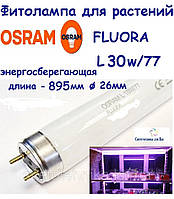 Фитолампа енергозберігаюча люмінесцентна Osram Fluora L30W/77 T8 G13