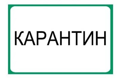 Наклейка Карантин