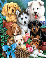 Алмазная Мозаика SHLab Многообразие Пород Собак Вышивка Камнями SH-18656 20x30 см (Полная Выкладка)