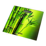 Ваги підлогові Rotex RSB15-P (Ротекс), фото 2