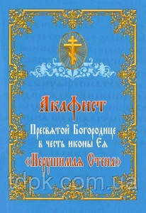 Акафіст Пресвятої Богородиці на честь ікони «Незламна стіна», фото 1