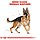 Royal Canin German Shepherd Adult (Роял Канін Джерман Шеперд Едалт) сухий корм для дорослої німецької вівчарки, фото 3