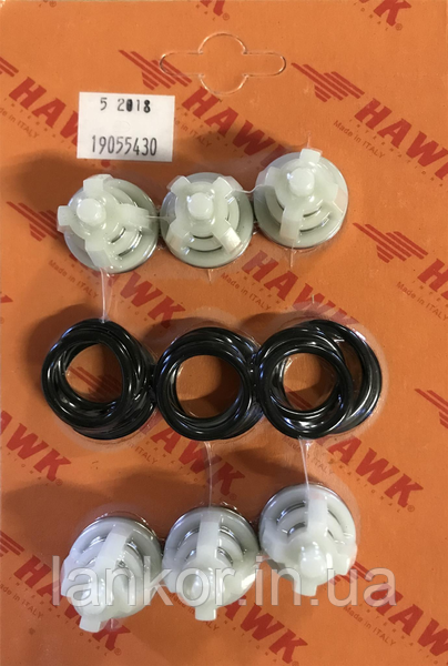 Ремкомплект клапанів Hawk nmt 1520, фото 1