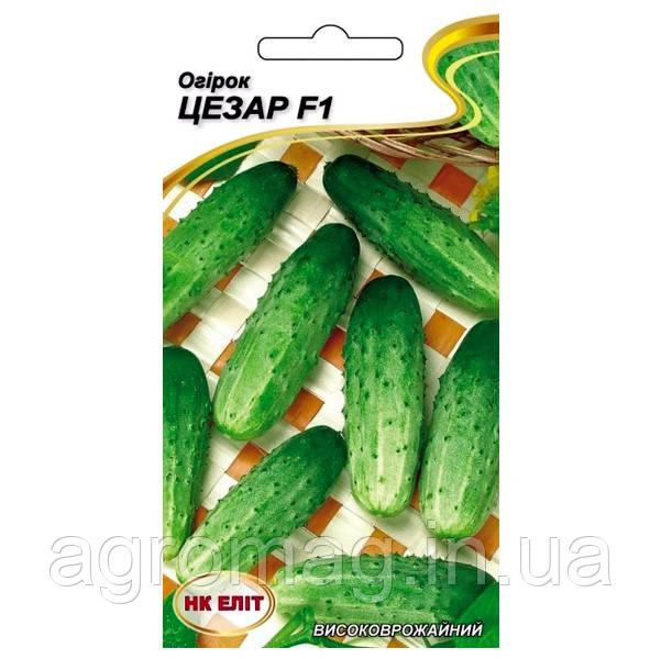 Огірок Цезар F1 20 шт.