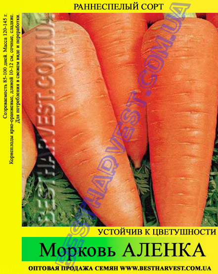 Семена моркови «Аленка» 25 кг (мешок) - фото 1 - id-p149060106