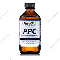 PhosChol PPC Choline, Холин ( фосфатидилхолин ) 473 мл. BX064, фото 3