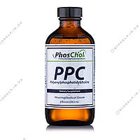 PhosChol PPC Choline Холин / Фосхол( фосфатидилхолин ) 236 мл.