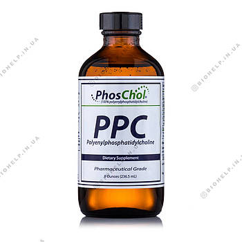 PhosChol PPC Choline Холін / Фосхол (фосфатидилхолін) 236 мл. BX230