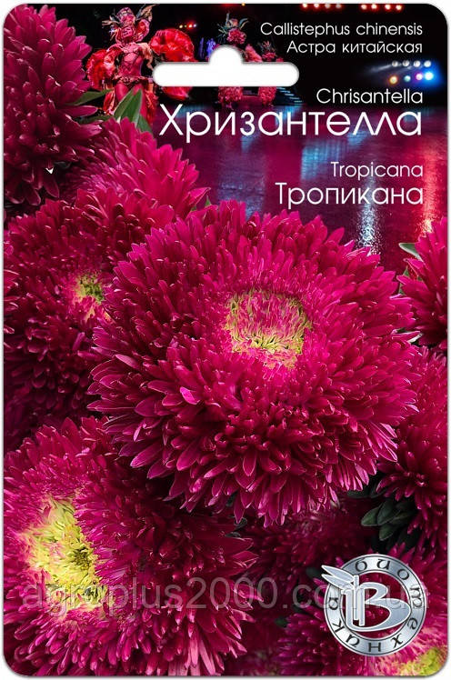 Насіння Астра китайська Хризантела Тропікана 30 насіння Біотехніка