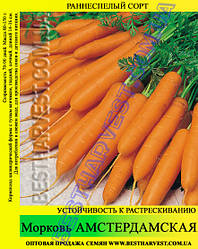 Насіння моркви «Амстердамська» 25 кг (мішок)